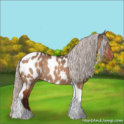 Horse Color:Silver Bay Dun Tobiano Appaloosa Rabicano 