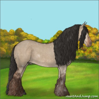 Horse Color:Liver Red Dun 