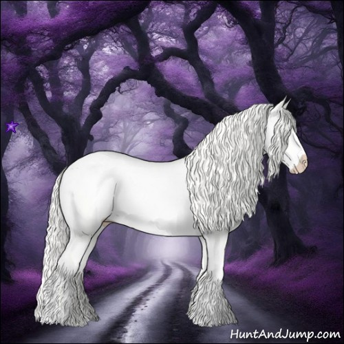 Horse Color:Cremello Dun 