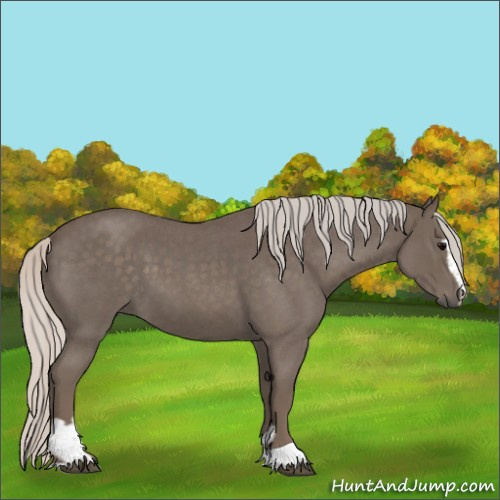 Horse Color:Silver Blue Roan Sabino 