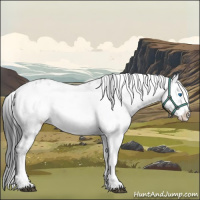 Horse Color:Black Frame 