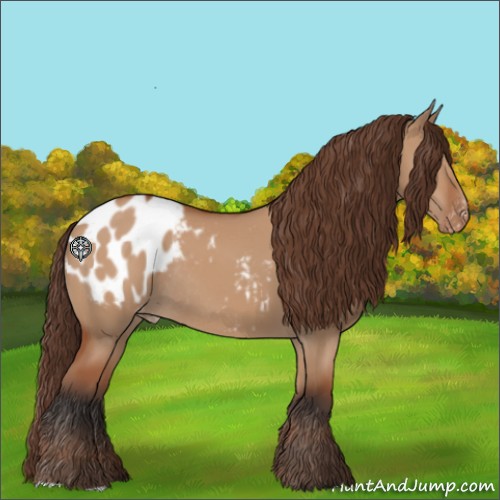 Horse Color:Bay Dun Appaloosa Rabicano 