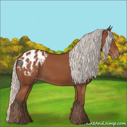 Horse Color:Silver Bay Appaloosa 