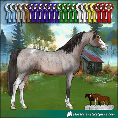 Horse Color:Brown Roan Sabino Varnish