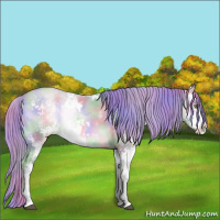 Horse Color:Platinum Nacre Watercolor Brown Pearl Onyx Sabino 
