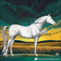 Horse Color:Classic Champagne Sabino Tobiano Appaloosa 