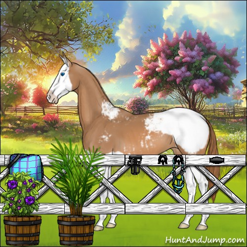 Horse Color:Chestnut Splash Appaloosa 