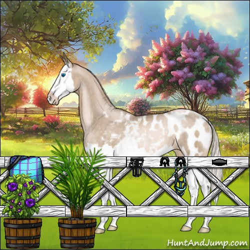 Horse Color:Chocolate Palomino Pearl Sabino Splash Appaloosa Rabicano 