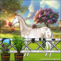 Horse Color:Chocolate Palomino Pearl Sabino Splash Appaloosa Rabicano 