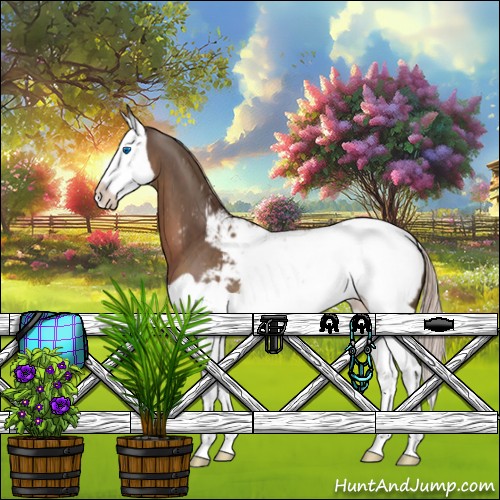 Horse Color:Liver Chestnut Splash Appaloosa