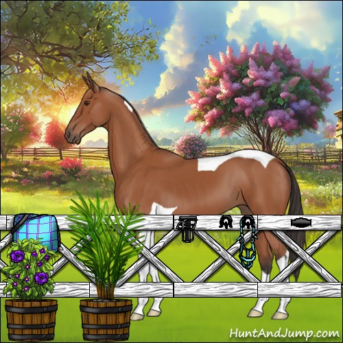 Horse Color:Bay Tobiano 