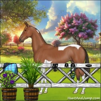 Horse Color:Bay Tobiano 