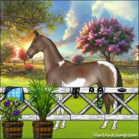 Horse Color:Bay Tobiano 