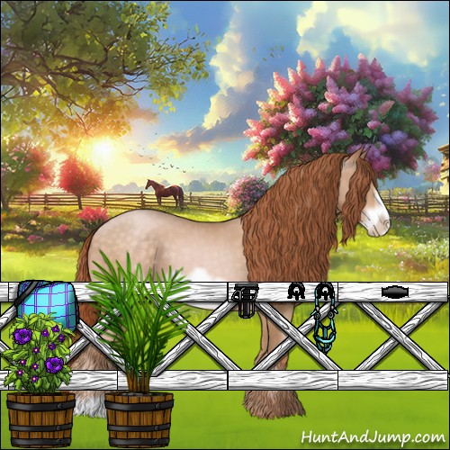 Horse Color:Buckskin Pearl Frame 