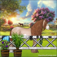 Horse Color:Buckskin Pearl Frame 