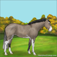 Horse Color:Brown Dun Sabino Brindle 