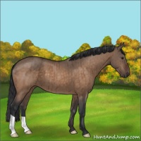 Horse Color:Brown Dun Brindle 