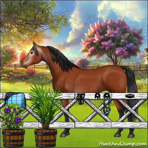 Horse Color:Gray Bay