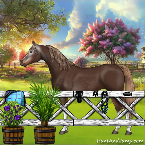 Horse Color:Gray Chestnut 