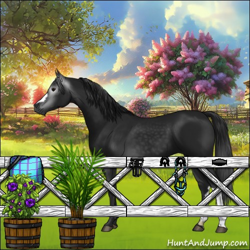 Horse Color:Gray Black 