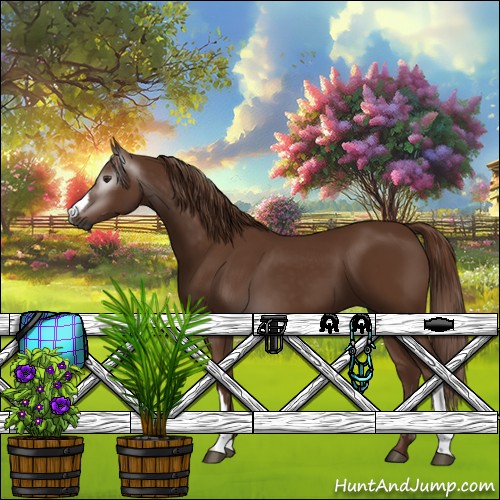 Horse Color:Gray Chestnut 