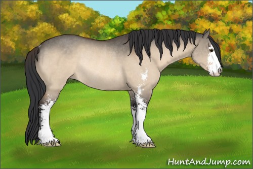 Horse Color:Brown Dun Sabino Rabicano 