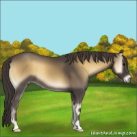 Horse Color:Smoky Blue Onyx 