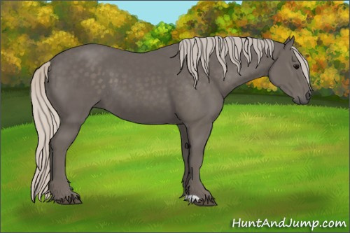 Horse Color:Silver Black 
