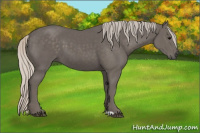 Horse Color:Silver Black 