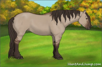 Horse Color:Liver Red Dun 
