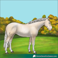 Horse Color:White Spotted Silver Smoky Black Pearl 