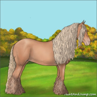 Horse Color:Gold Champagne
