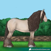 Horse Color:Amber Champagne Dun 