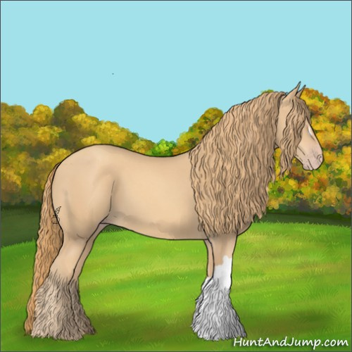Horse Color:Gold Champagne 