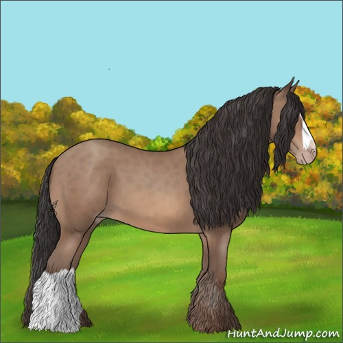 Horse Color:Sable Champagne 