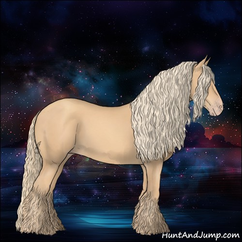 Horse Color:Gold Champagne