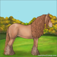 Horse Color:Gold Champagne 