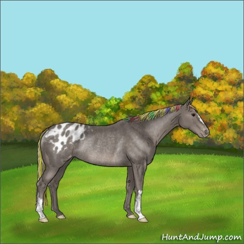 Horse Color:Painted Silver Black Blanket Rabicano
