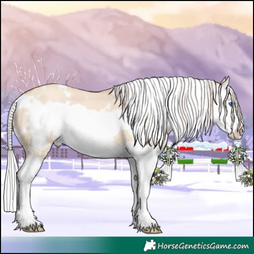 Horse Color:White Spotted Silver Classic Champagne Dun Splash Frame 