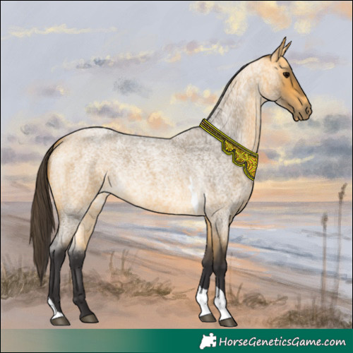 Horse Color:Buckskin Roan Tobiano 