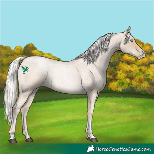 Horse Color:Silver Buckskin Roan Pearl 