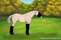 Horse Color:Painted Silver Classic Champagne Dun Splash