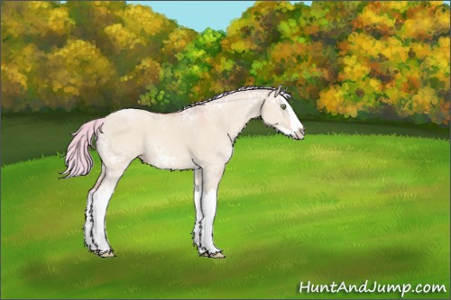 Horse Color:Watercolor Silver Amber Champagne Ice Dun Splash 