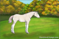 Horse Color:Watercolor Silver Amber Champagne Ice Dun Splash 