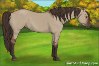 Horse Color:Liver Red Dun 