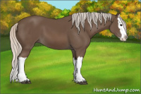Horse Color:Silver Black Splash 
