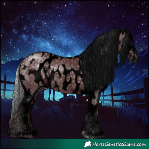 Horse Color:Void White Spotted Chocolate Silver Black Chinchilla Appaloosa Rabicano 