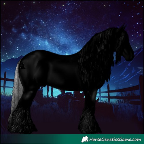 Horse Color:Void White Spotted Chocolate Silver Black Chinchilla Appaloosa Rabicano 