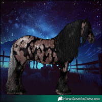 Horse Color:Void White Spotted Chocolate Silver Black Chinchilla Appaloosa Rabicano