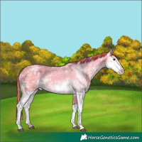 Horse Color:Painted Watercolor Liver Chestnut Ice Sabino 